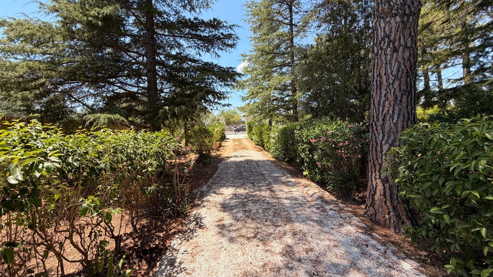Trulli Comunicanti, Restaurati con Antico Camino, Ulivi Secolari.